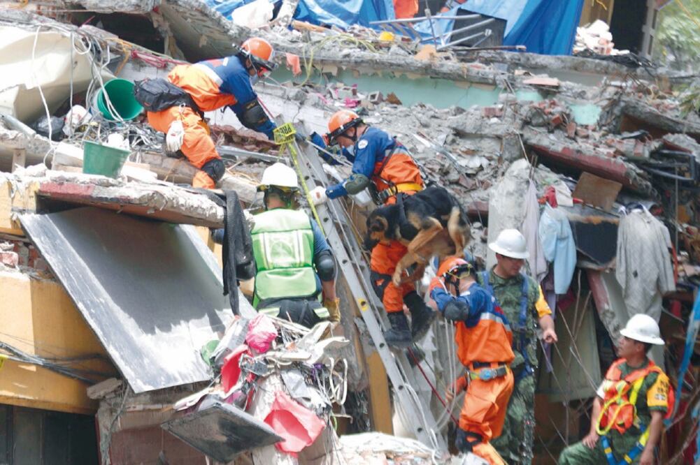 Al menos 13 expertos enviados por el gobierno de Japón llegaron al multifamiliar devastado en Tlalpan. (IVÁN STEPHENS. EL UNIVERSAL)