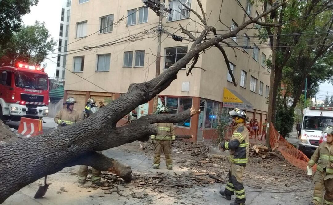 Fotos: Protección Civil 