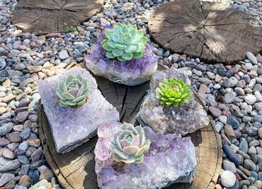 Macetas de cuarzo: la tendencia más cool para las amantes de las plantas