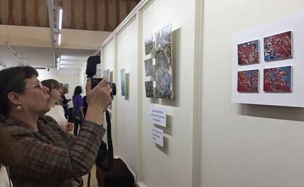 Mexicana Selma Ancira inaugura sala en Rusia