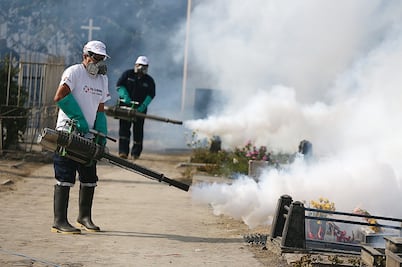 OPS: virus zika llegará a todo el continente