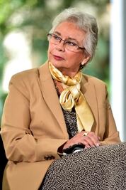 Resguardo en casa puede detonar en violencia intrafamiliar: Segob