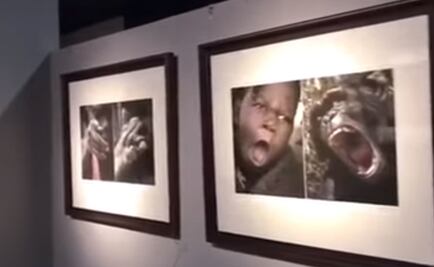 ¿Racismo? Exposición comparó africanos con animales