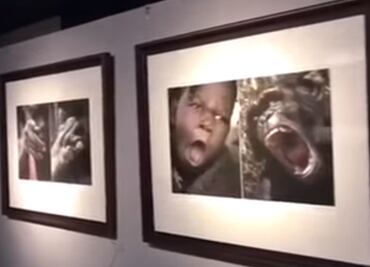 ¿Racismo? Exposición comparó africanos con animales