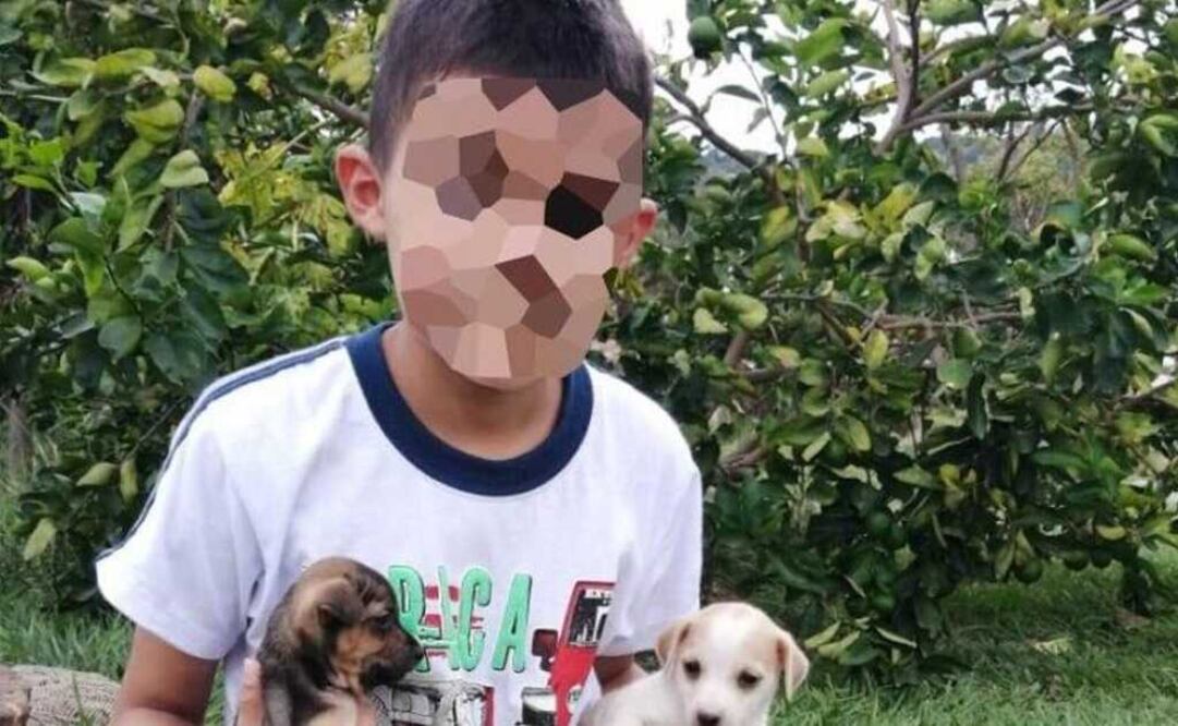 "Quería ser bailarín", dice padre en el entierro de su hijo de 11 años que murió luego de comer un dulce. Foto: EL TIEMPO