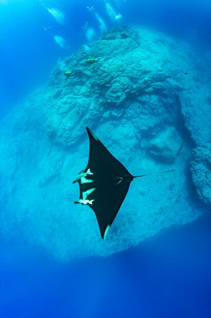 Dentro de las reservas marinas, existen áreas que regulan pero permiten actividades como la pesca, el turismo y la investigación.