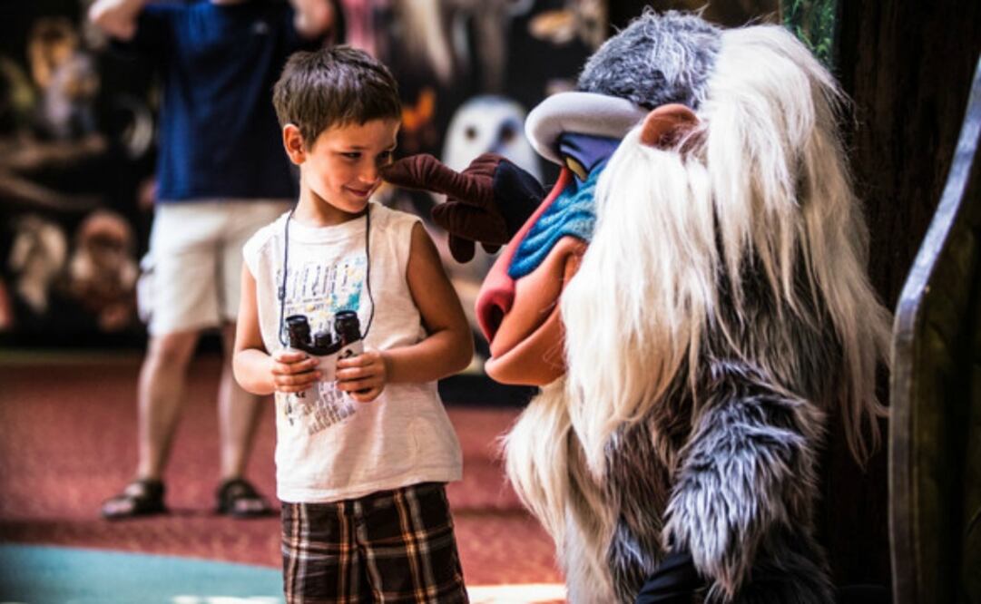 Los paquetes “multi-day” para visitas de más de un día, que son los boletos más usados. (Foto: Disney World)