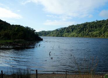 Derecho a un medio ambiente sano