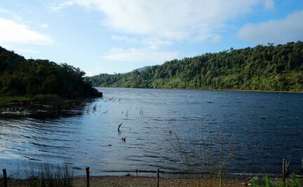 Derecho a un medio ambiente sano