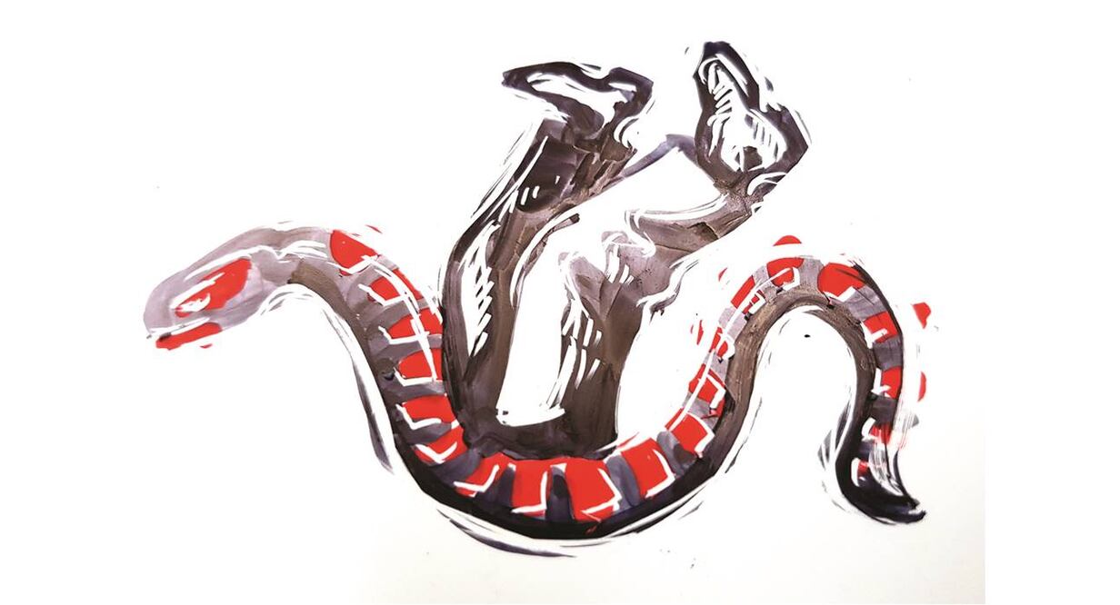 A Videgaray ¿se le mueve la patita?