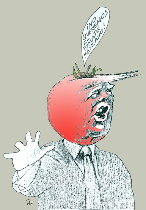 Tomate gringo