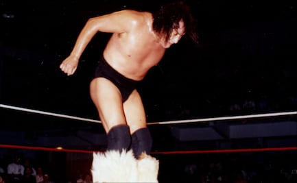 Cuatro salvajes del ring