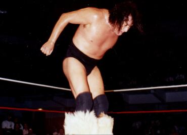 Cuatro salvajes del ring