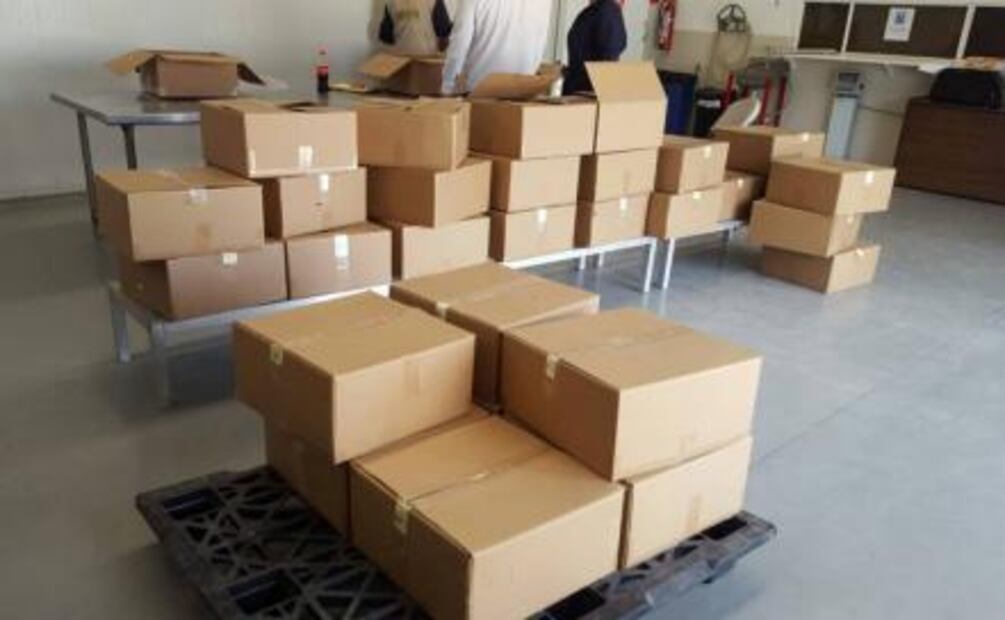 Aseguran más de 40 mil pepinos de mar en Baja California