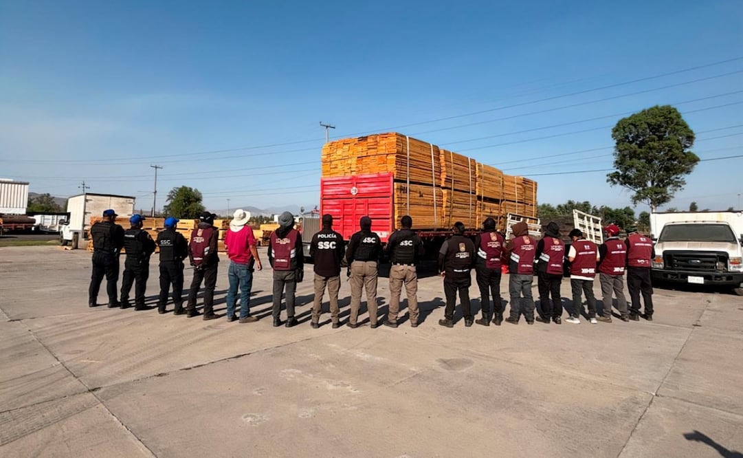 Profepa decomisa 63.76 metros cúbicos de madera ilegal en CDMX. Foto: Especial