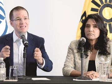 Anaya, Barrales and the money