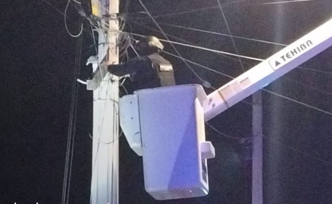 Autoridades de Baja California Sur retiran 130 cámaras clandestinas; refuerzan operativos contra halconeo.
Foto: Especial.