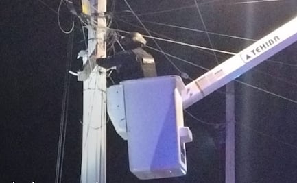 Autoridades de Baja California Sur retiran 130 cámaras clandestinas de videovigilancia; refuerzan operativos contra halconeo