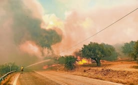 ¡Hades se enojó! Incendios forestales se desatan en Grecia, evacuan un suburbio de Atenas