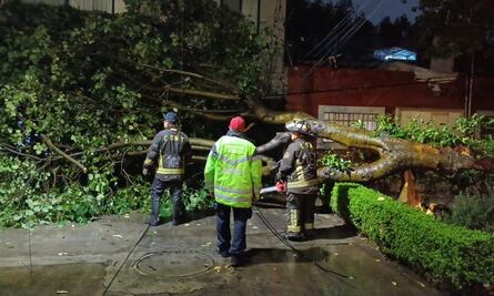 Lluvias dejan árboles, anuncio y un puente caído en la CDMX y el desbordamiento de una presa 