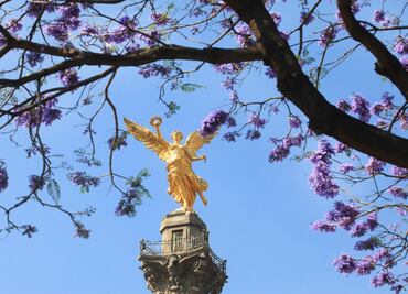 Mañana llega la primavera a México