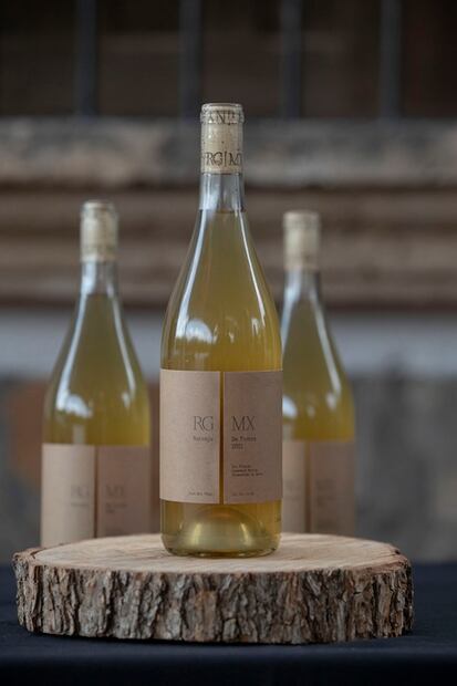 Explora la ruta de vinos en Coahuila 