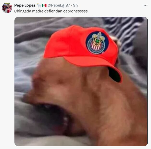 Los mejores memes de la derrota de Chivas ante Necaxa