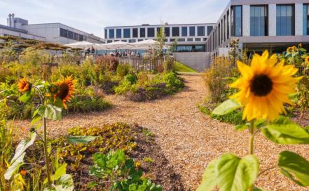 ¿Cuánto cuesta estudiar en la segunda mejor escuela de hotelería del mundo?