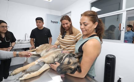 Un amigo de cuatro patas te espera; Venustiano Carranza lanza campaña de adopción