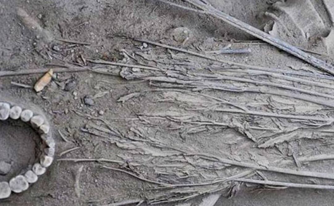 FOTO: Economic Botany.