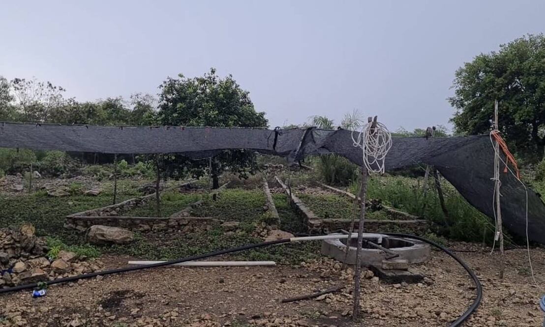 Las lluvias "disparan"  los precios de productos del campo en Yucatán. Foto: especial