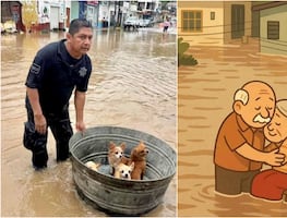 Lluvias en Poza Rica: surgen imágenes emotivas tras desbordamiento del río Cazones