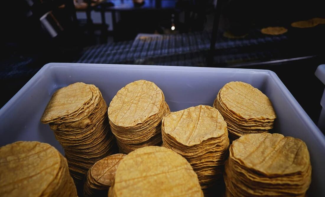 Te decimos cuánto cuesta la tortilla en México, según datos publicados en la Revista del Consumidor. Foto: Unsplash.