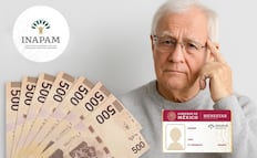 ¿Cómo recibir el aguinaldo para adultos mayores?; paso a paso para beneficiarios del INAPAM este 2026