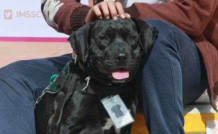 Los humanos y los perros son mejores amigos desde hace 11 mil años