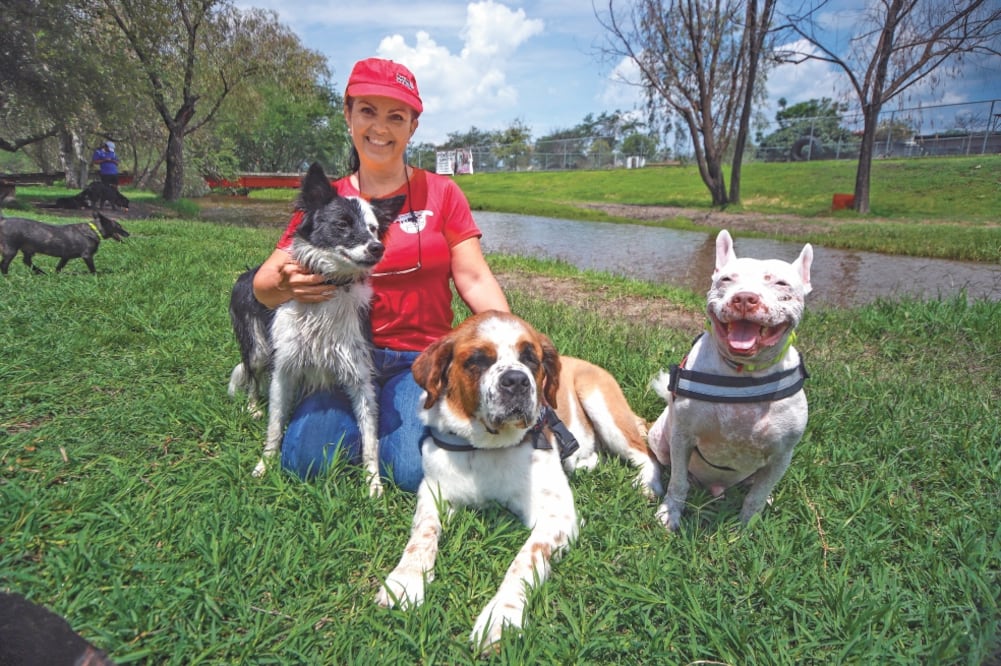La asociación Patitas de Ayuda, encabezada por la oncóloga Gloria Zepeda, busca crear conciencia sobre el respeto a los animales y las deficientes políticas públicas de protección, control y cuidado que hay hacia ellos. Foto/Carlos Zepeda. El Universal
