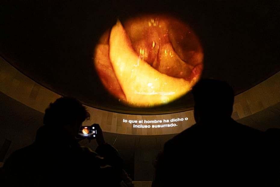 Pieza titulada "Cuerdas vocales".