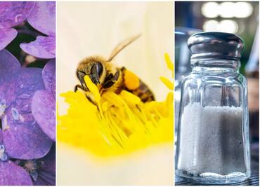 Luce labios de impacto con estas recetas naturales