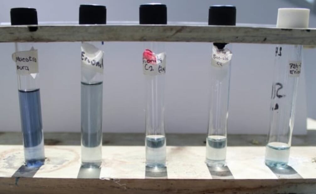 Investigadores poblanos logran eliminar colorantes en aguas de industria textil