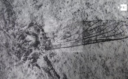 Hallan en Chiapas fósil de una mosca de 90 millones de años