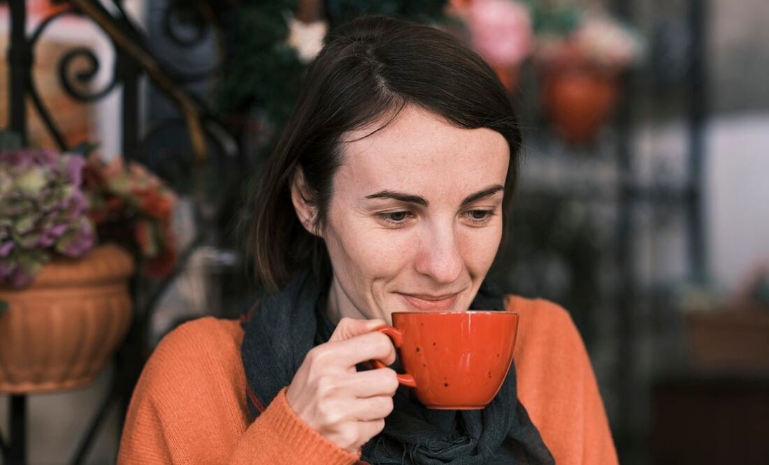 Semillas de anís. Fuente: Pixabay