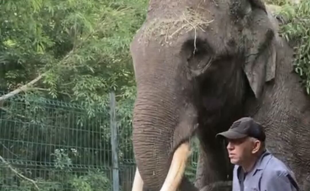 Foto: Captura de video