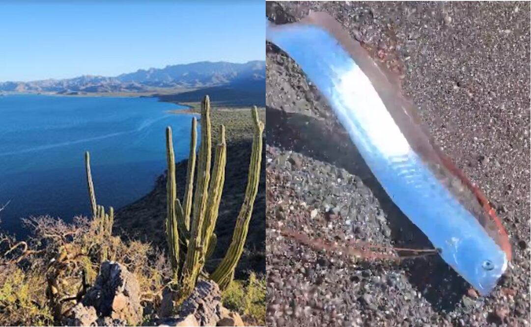 Así es "El Quemado", playa donde fue encontrado un pez remo. Foto: Google maps y captura de video