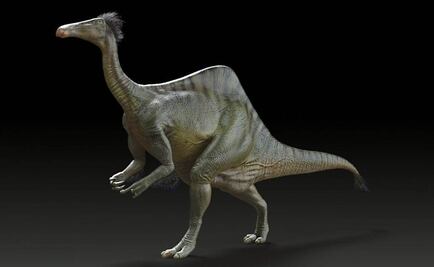 Sugieren que dinosaurios eran de sangre caliente