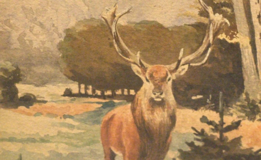 Auktionshaus Weidler. Foto: Wikimedia