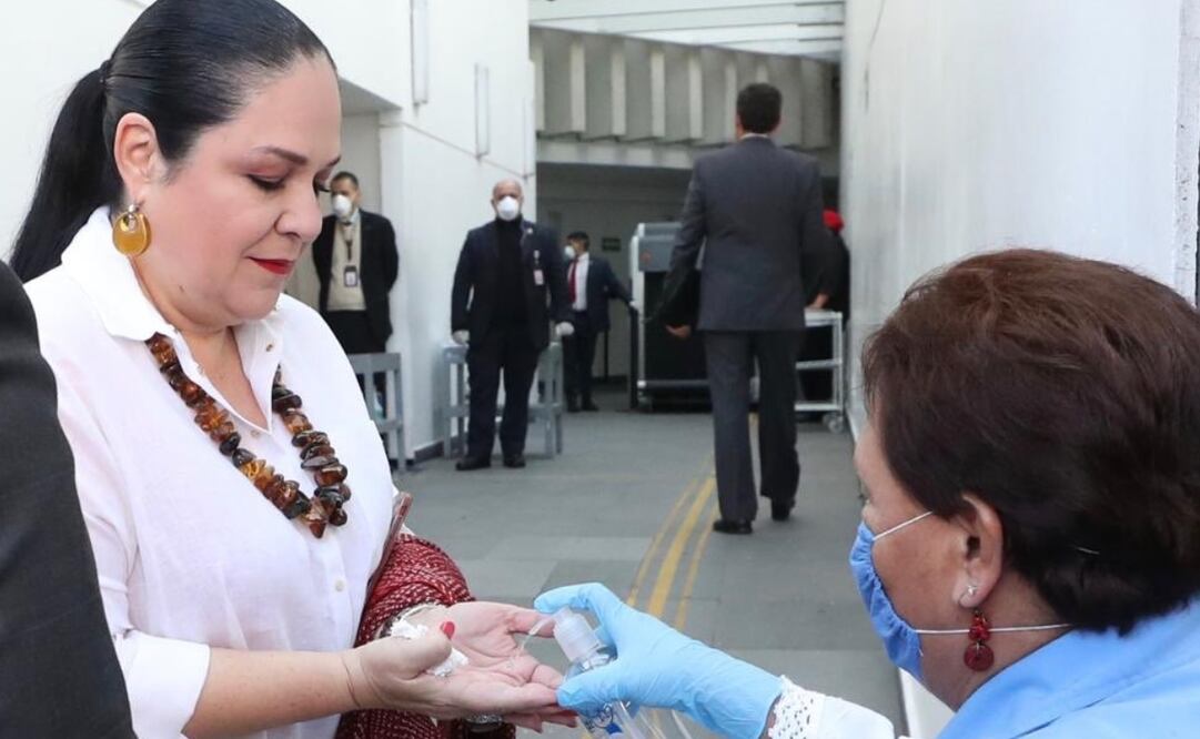 Mónica Fernández informó que en la Cámara Alta se implementaron "estrictas medidas de evaluación e higiene para prevenir el eventual contagio de Covid-19". Foto: Twitter @monicaferbal