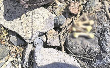 Colectivo de búsqueda de personas encuentra osamenta en La Paz