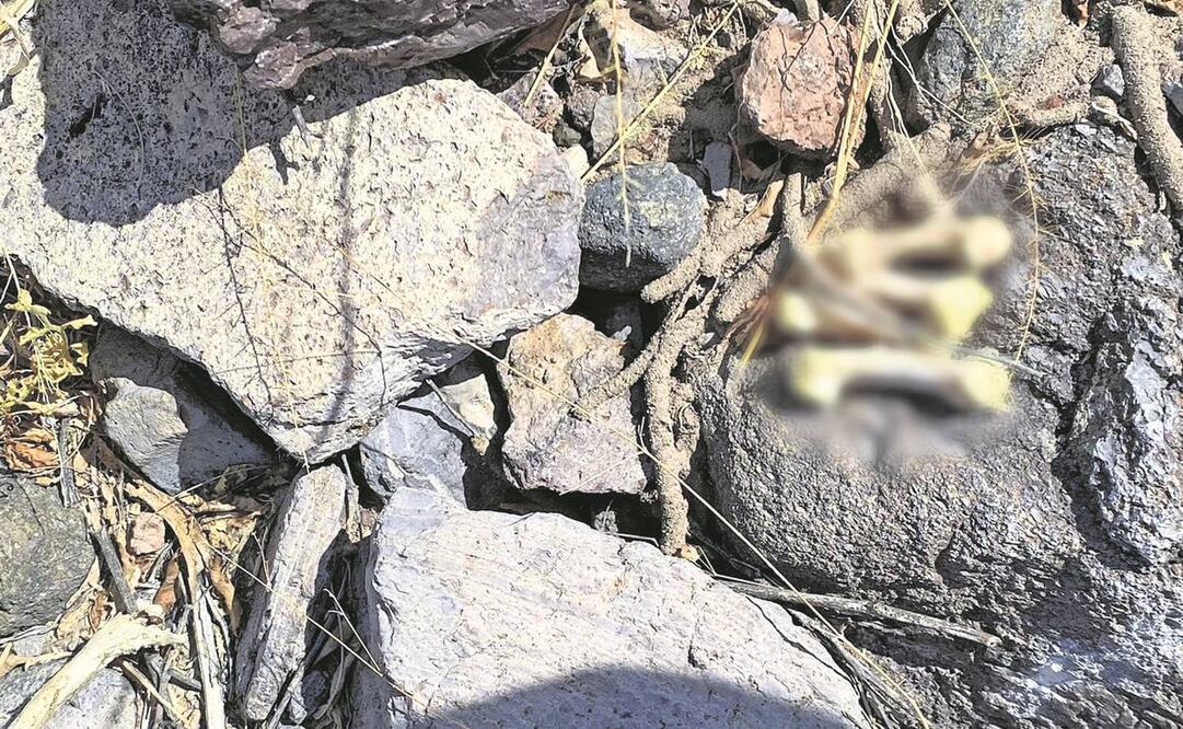 La osamenta hallada presuntamente pertenece a una mujer. Foto: Especial