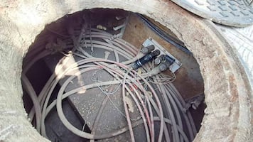 Ardilla provoca apagón de alumbrado público en la ciudad de Xalapa; afectó la zona sur de la capital veracruzana