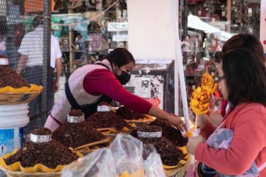 Foto: Archivo EL UNIVERSAL